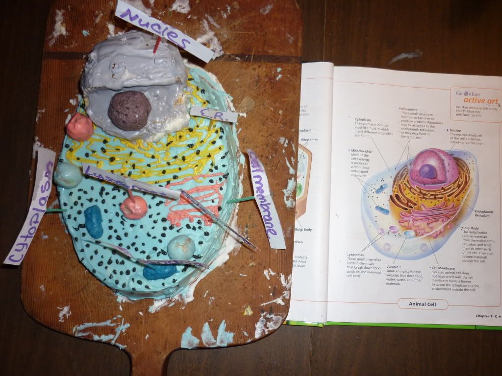 The edible animal cell cake - Lysosome cake balls - Quirky Cookery